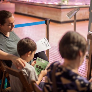 Mercat l'Estrella de Gràcia